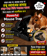 2Pcs- Mouse Killer Trap