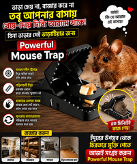 2Pcs- Mouse Killer Trap