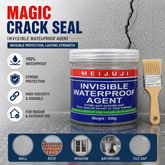 Magic Crack Seal Waterproof Glue with Brush -300g