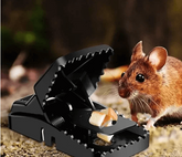 2Pcs- Mouse Killer Trap