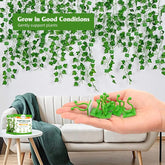 (50Pcs) Self-Adhesive Plant Climbing Clips