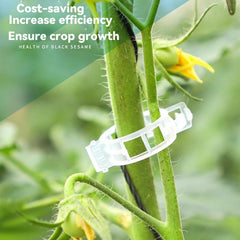 (100Pcs) Plant Clips for Climbing