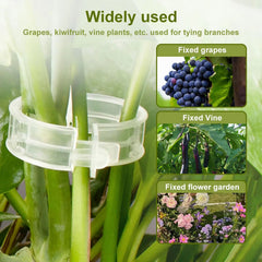 (100Pcs) Plant Clips for Climbing