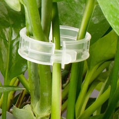 (100 Pcs) Plant Clips for Climbing