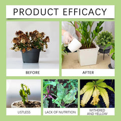 2 Box- Plant Growth Fertilizer Sticks