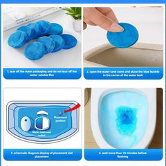 ২০ পিসের প্যাকেট | Toilet Flush Tablets