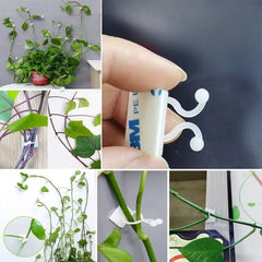 50Pcs- Self-Adhesive Plant Wall Clips- [White]