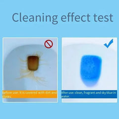 ২০ পিসের প্যাকেট | Toilet Flush Tablets
